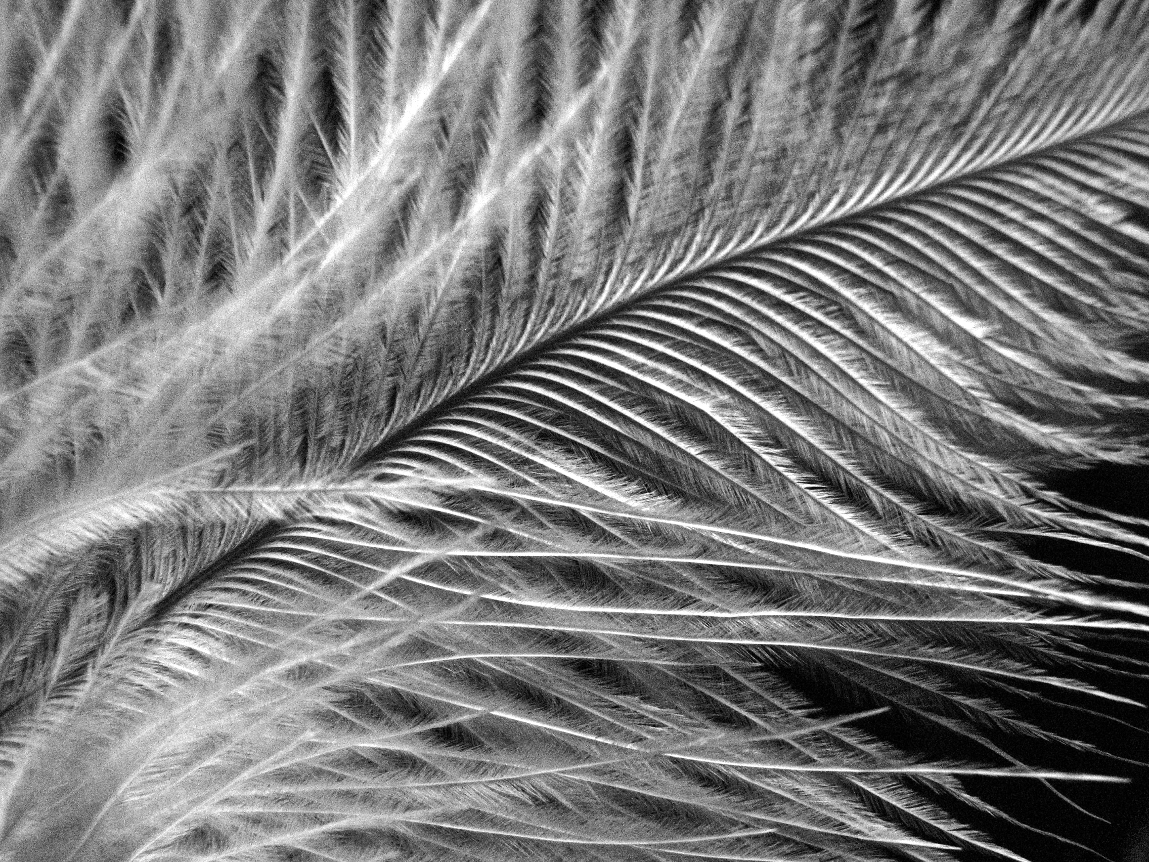 IMG_1323 - Version 4